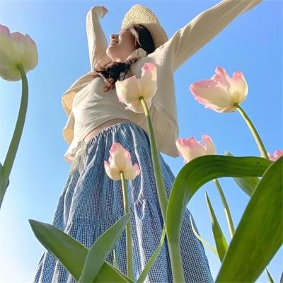 宝莲历险记